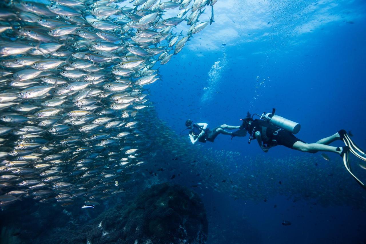 Jamahkiri Dive Resort & Spa Ko Tao Exterior foto Scuba diving